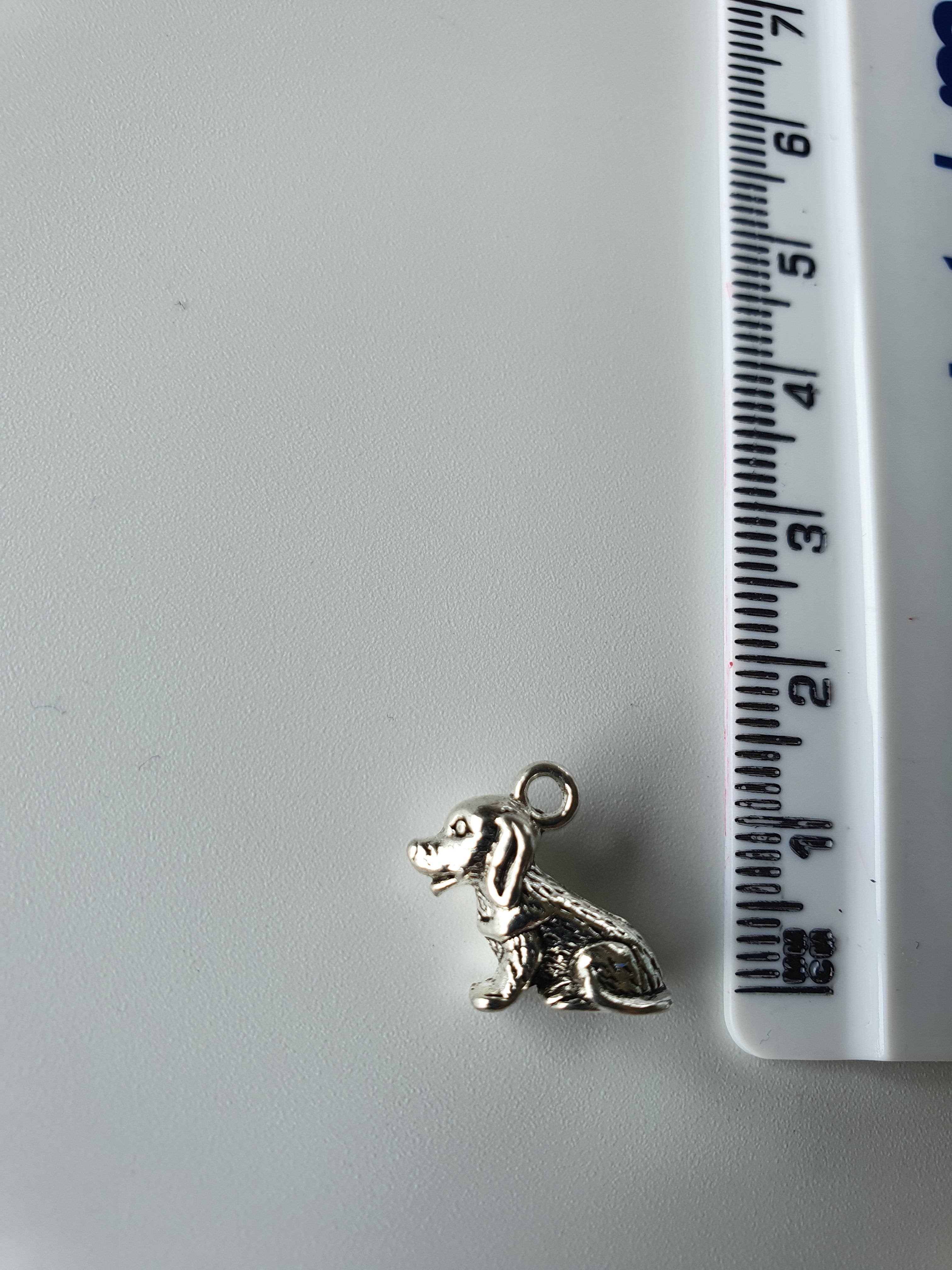 Animal Charms