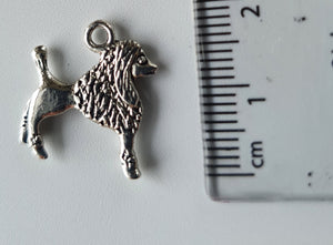 Animal Charms